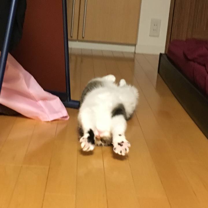 D83fc42e 2c5c 474c 912a dce3678a4bbb