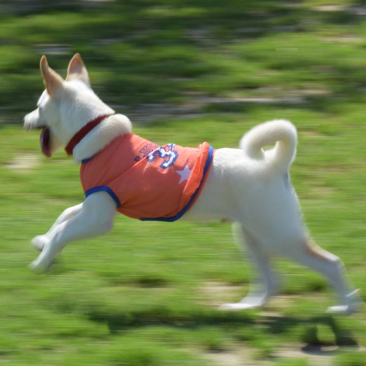 D8402514 db81 4a05 9b74 ca051ded7751