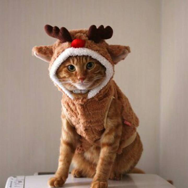 D8402ea6 c7cf 4540 bddf da1a20a0751c