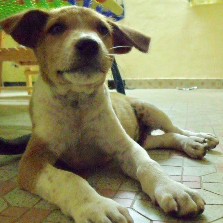 D8408b62 ad4e 4303 a199 a426ba9c0ed5