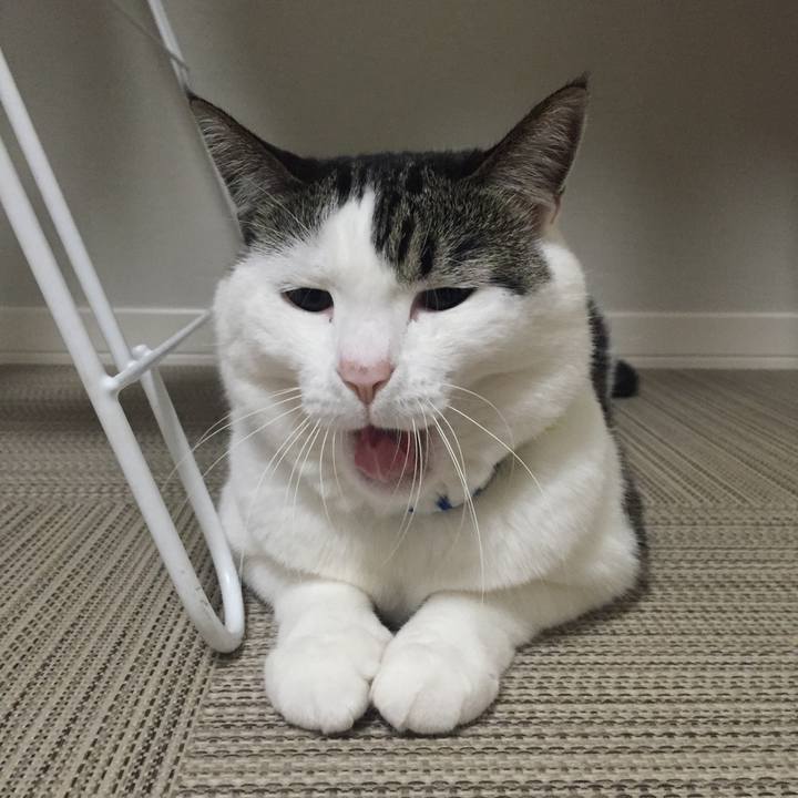 D840cf25 fc47 4264 84fd daa310ff64fb