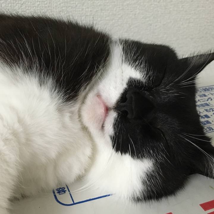 D8414919 411e 4252 bf2d 165ee06831b2