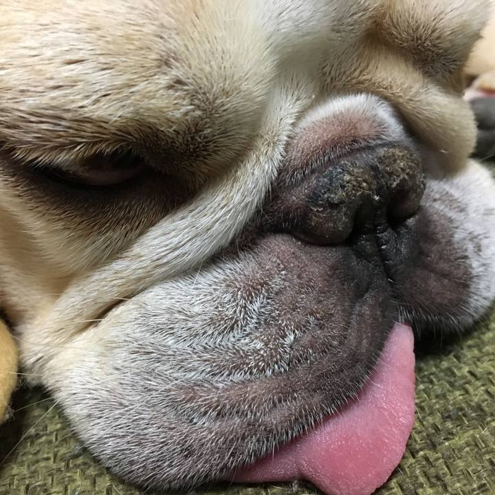 D841b023 2b69 4a98 95af d38428dc1a4f