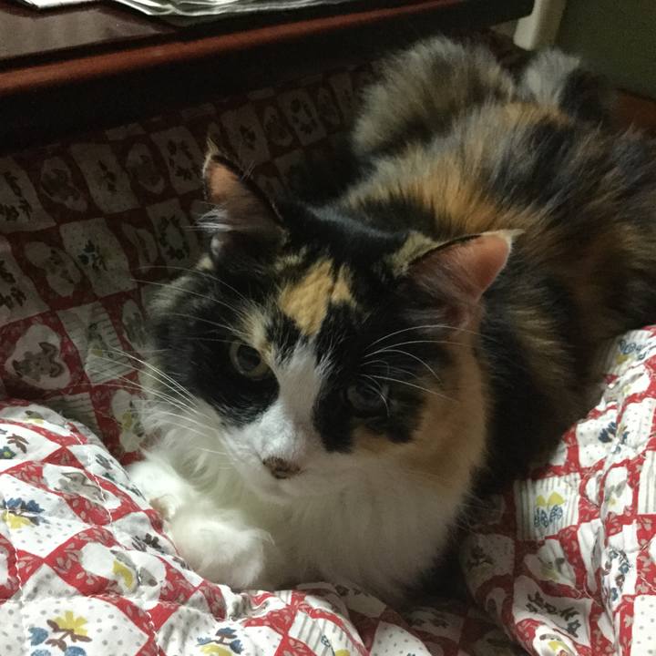 D841b1d3 0ef2 4126 8249 7b99eb1569ee