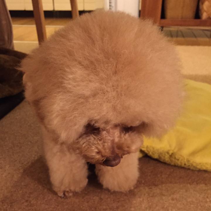 D8426c8c f7fb 42ac 8b3a 4b3d76c5854b