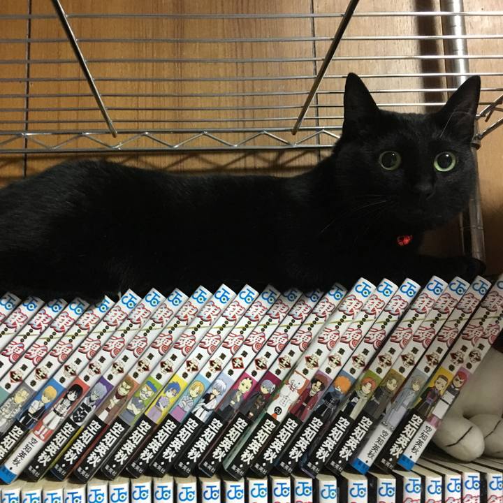 D84272e0 1acf 4191 8668 183c6d16b769