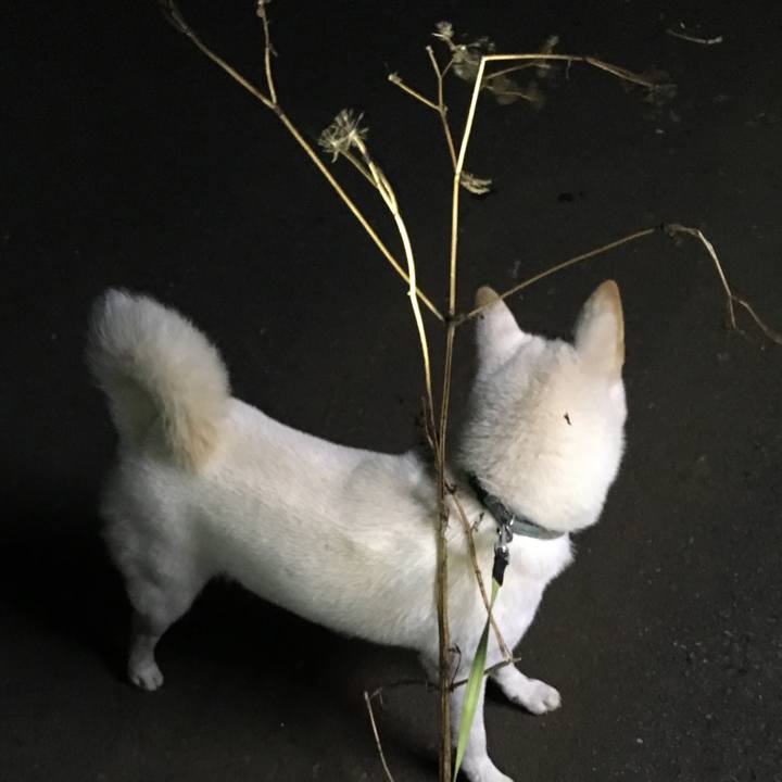 D843f204 d1d5 4490 8918 bd892a51d93f