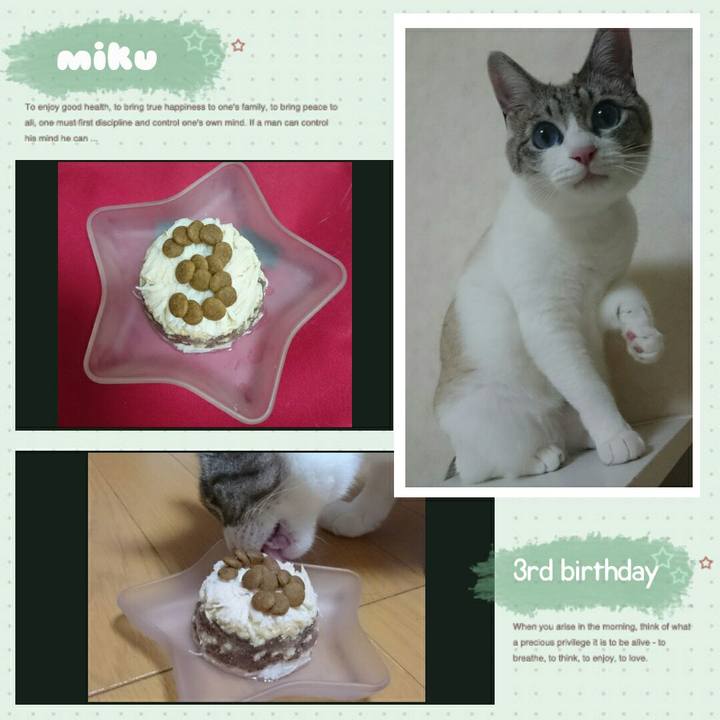 D844b528 bf16 4795 a4ee f5a3bea8ad99