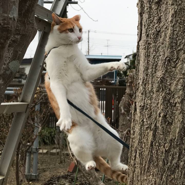 D8453ef0 1611 4dd9 8f7c cc2ccae637c5