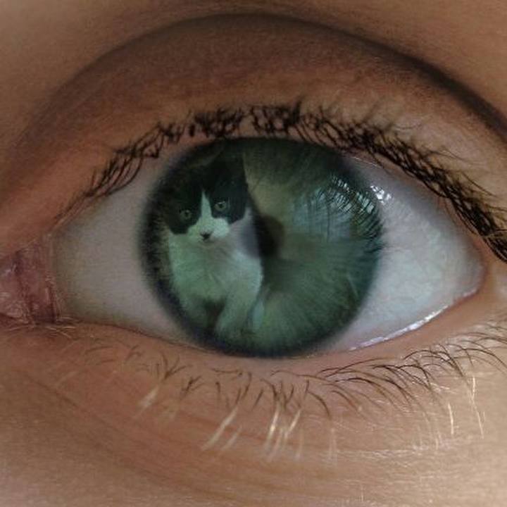 D84648a2 13f0 4831 8de2 9d42a1dcbca7