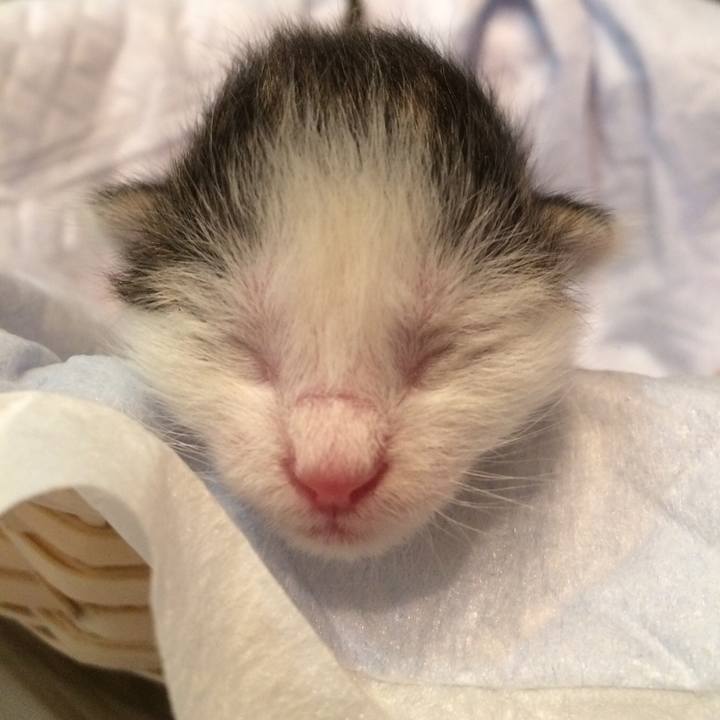 D84746ac 534f 4fcd a087 9b672dfc3f82