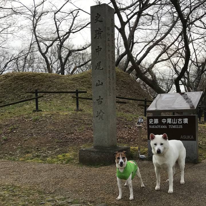 D847a06f ebfb 4155 8fe0 598dc7136d8f