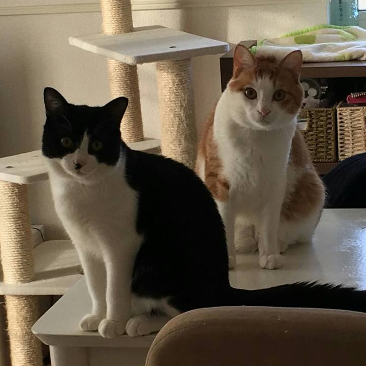 D847d50a 1b6d 4889 8b8c eaa922967b58