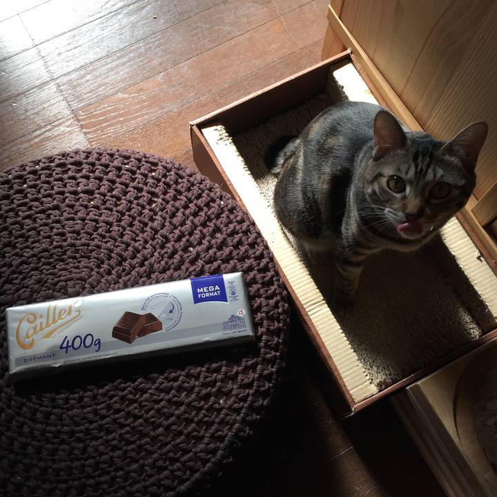 D8481e92 a1f5 4755 a197 5ac203ea1b5b