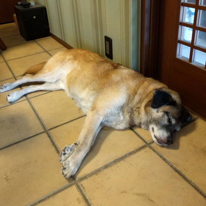 D84893c8 4868 4991 9132 e034aa50779b