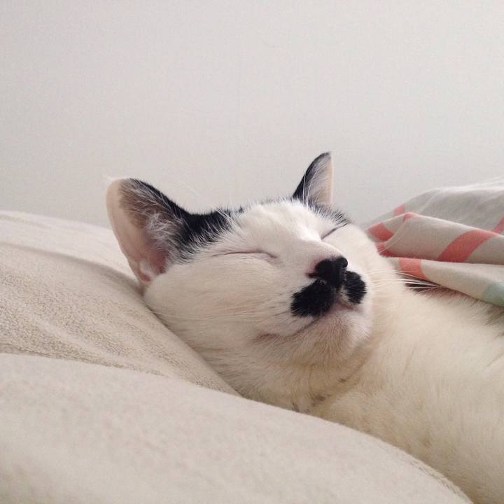 D84911f5 5f16 4f01 9a57 fa4f30130ba1