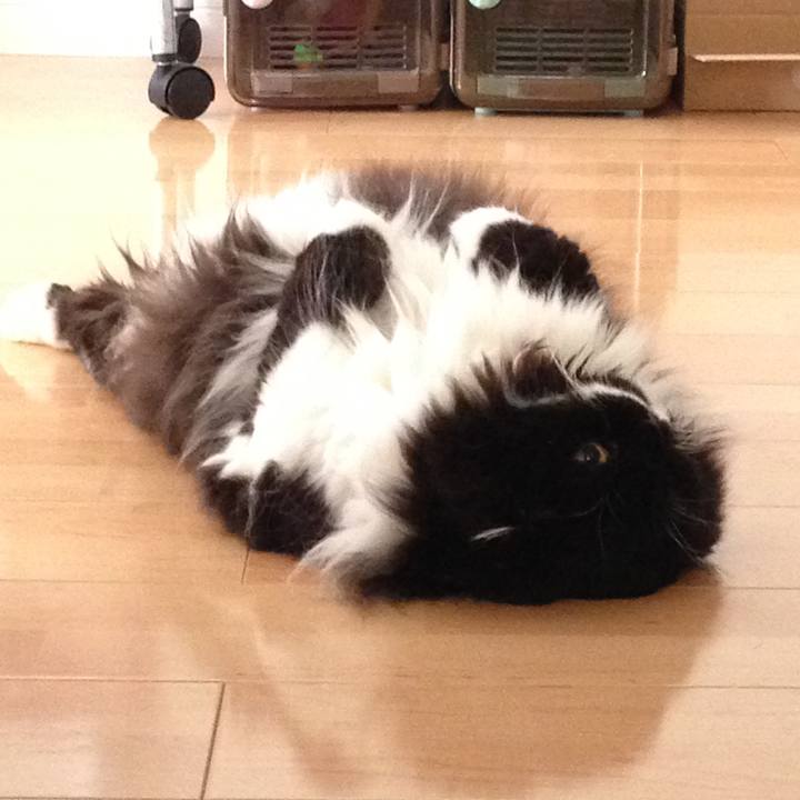 D8491b95 ad04 4697 aa43 af502447ed3a