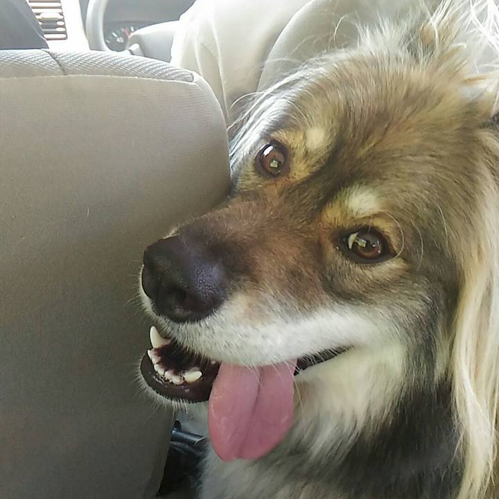 D849ca74 833e 492f 94c3 0c8463be53dc