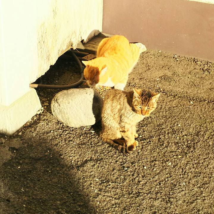 D84b8ca5 b13c 45c9 947c 5c248661eb8c