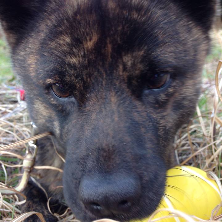 D84ba893 d854 49dc a0af fa7d89d2c3bd