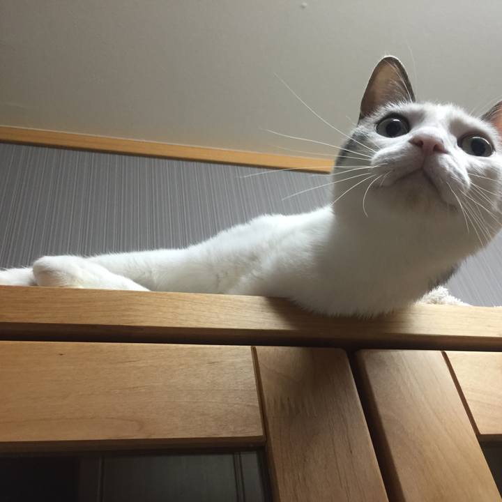 D84be214 9c64 4ca8 a541 cd93a8679b37