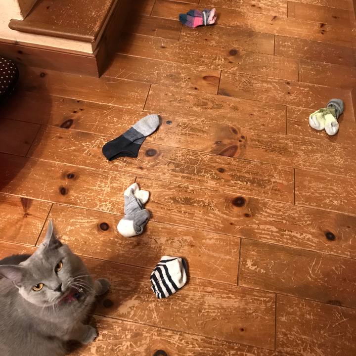 D84c0340 52b7 444c b598 8011165a51d1