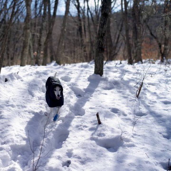 D84c7dcd b1a1 4480 a02c b508cf59c57f