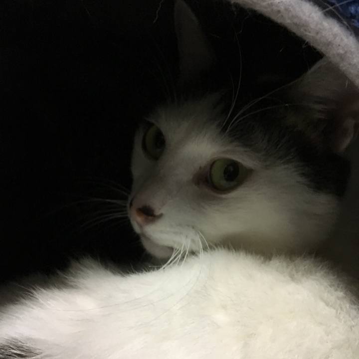 D84c7ed6 d1ea 49c3 a9dd 9fbc9bbb4f35