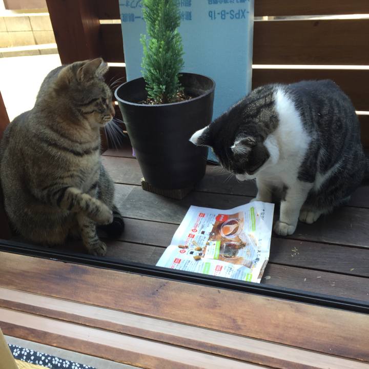 D84d1fa7 d592 4fc3 9b10 0e356f1a80ca