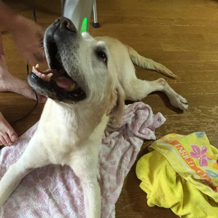 D84d7a5c a123 4e16 ae80 ff357524734e