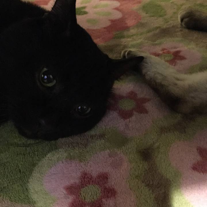 D84e01fb 34c3 4cc7 add5 3e6bd2019b04