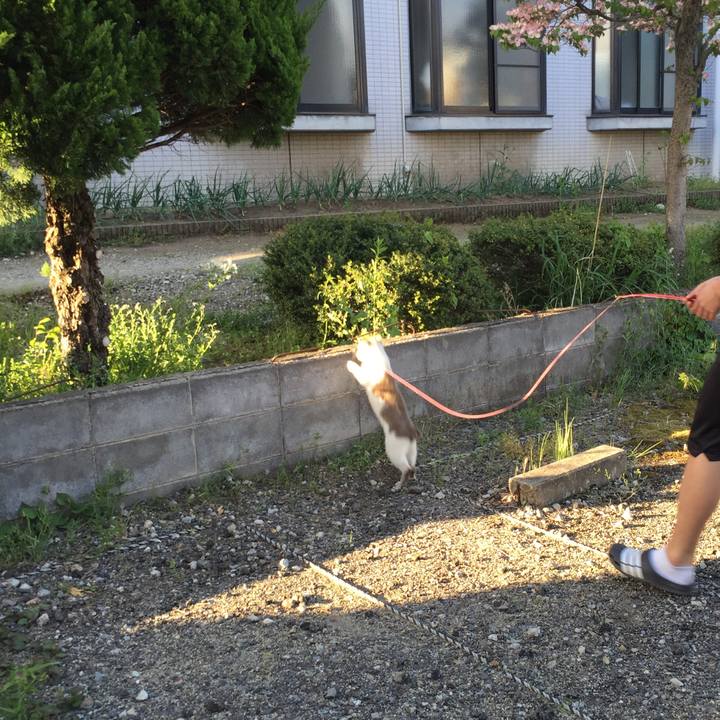 D84e1095 465a 458d a307 57a4d8e4696c