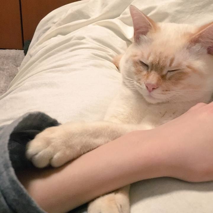 D84ea92d e158 4dcb b9c7 75f7af63c505