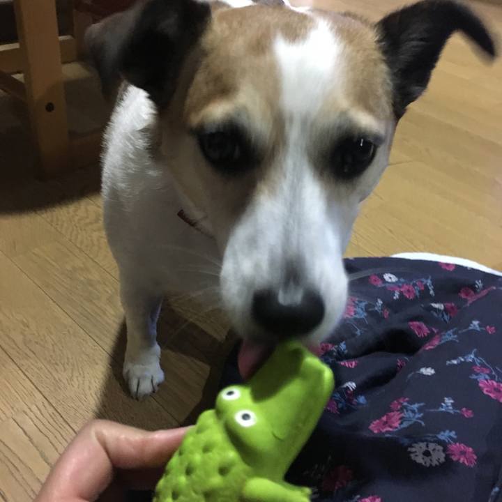 D84f9aaa 0eeb 40cf 9ebd 916c164f6079