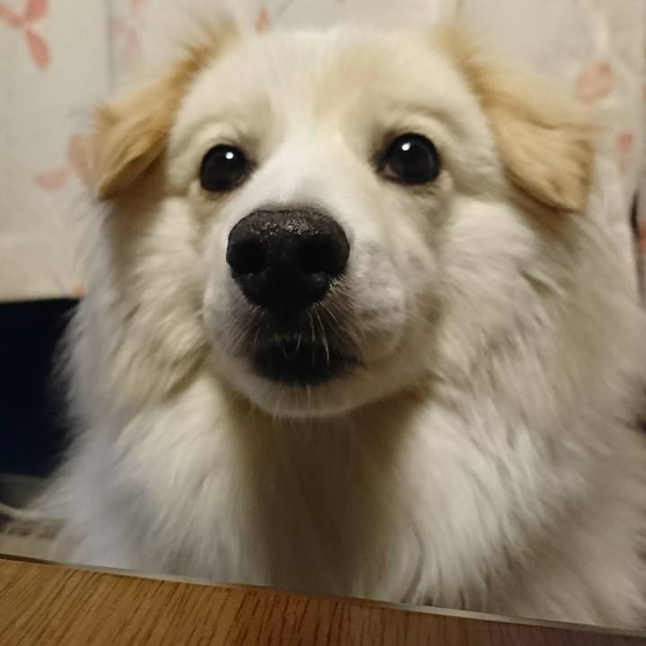 D84ff322 1643 4f15 b581 3ca70a439229