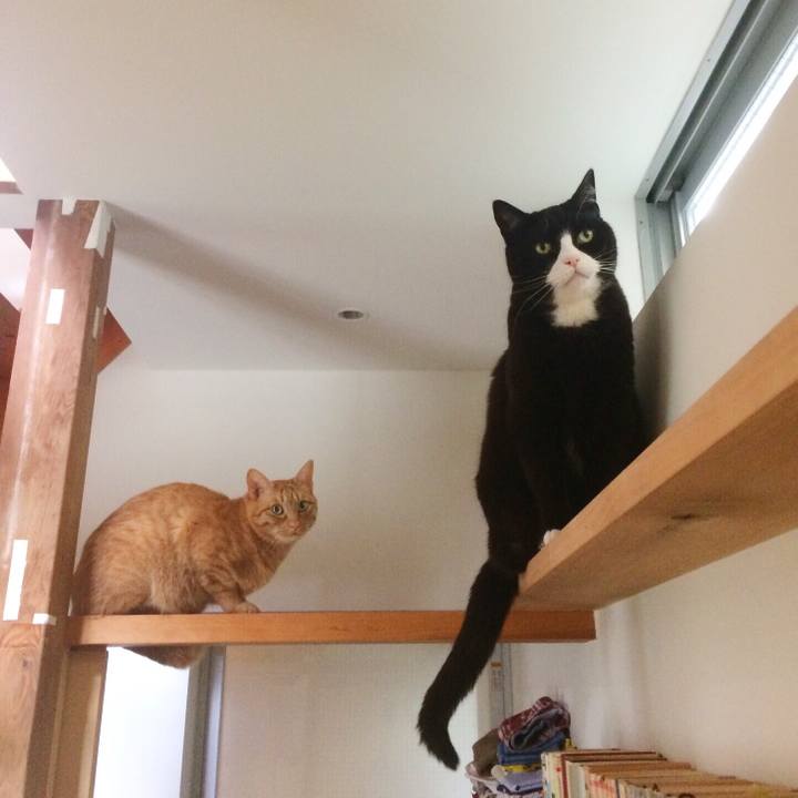 D85008b0 31f5 47db b692 c5f55f5ce581