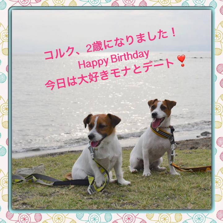 D850129e 7d1c 471e 8e0b 48ab22232511