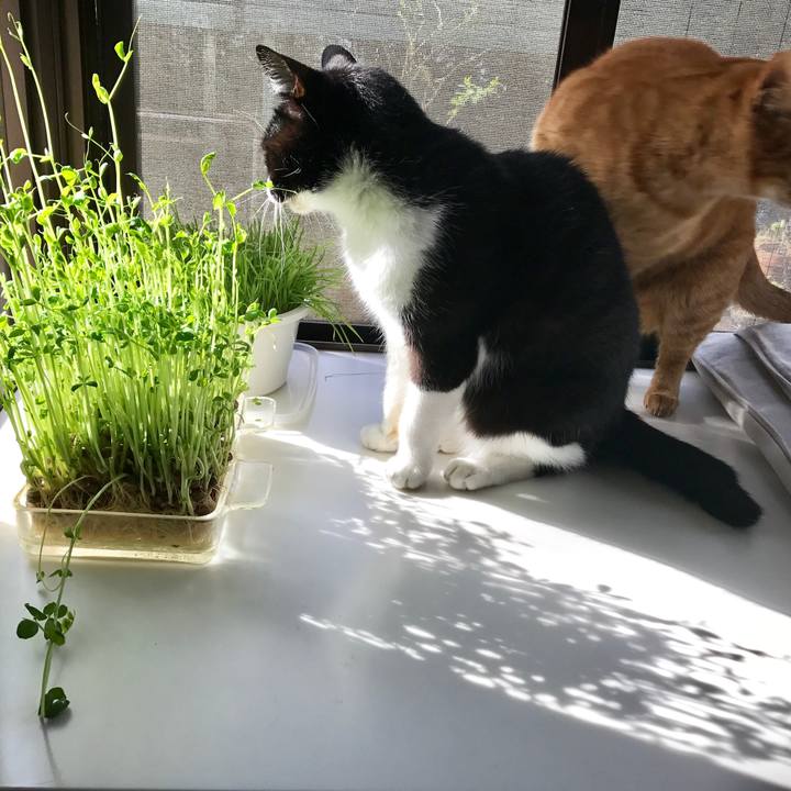 D850655d ccf7 4dfd 90f8 15f679290a48