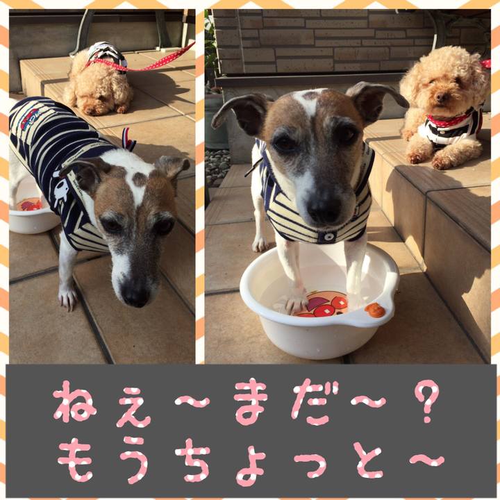 D850696c 6c0c 4826 9df4 7f8e28894776