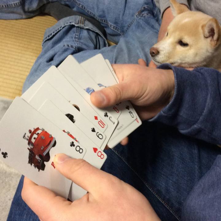 D850793d 0027 401f 88d4 c13305fd0559