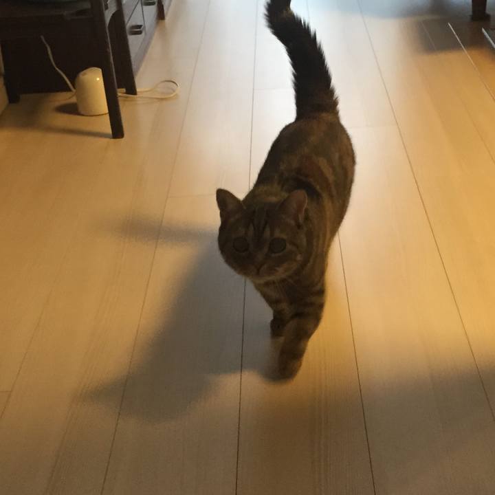 D850e817 6f1d 4de7 b924 f32b6b59c0ae