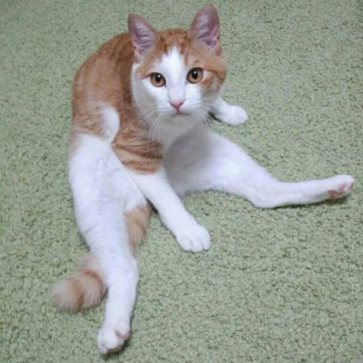 D852f064 c841 4166 a7f2 b5eb43637e82