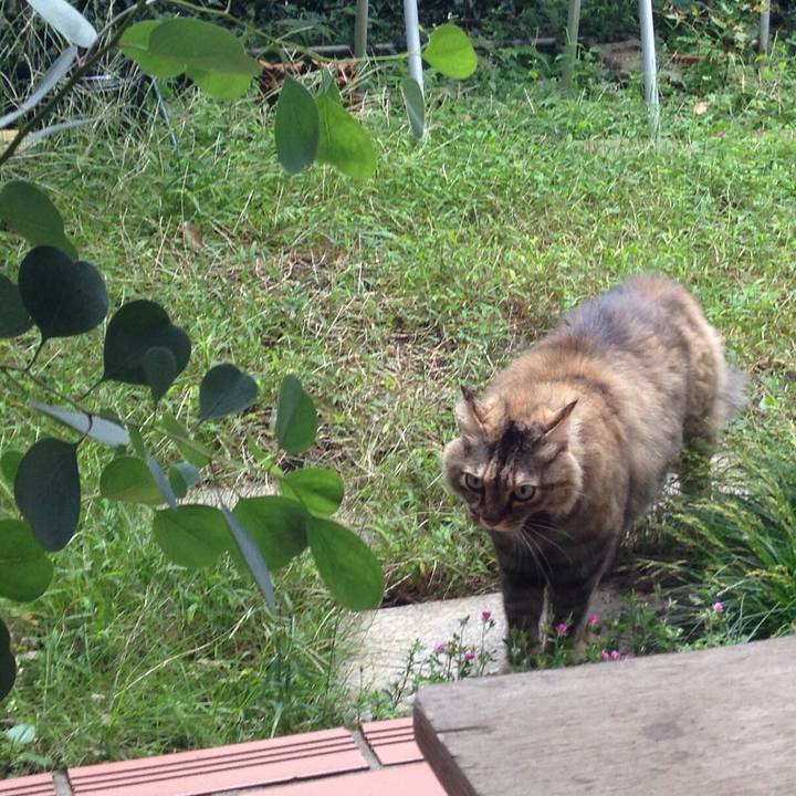 D8533de1 3f08 414b bacd 94347f8734d8