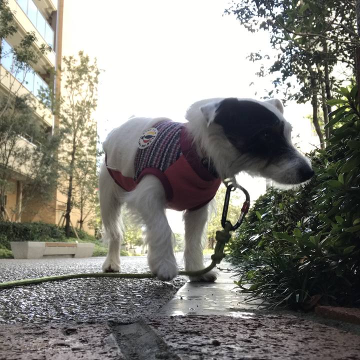 D853b8a3 4329 4c04 a26a b06f6f706cc2