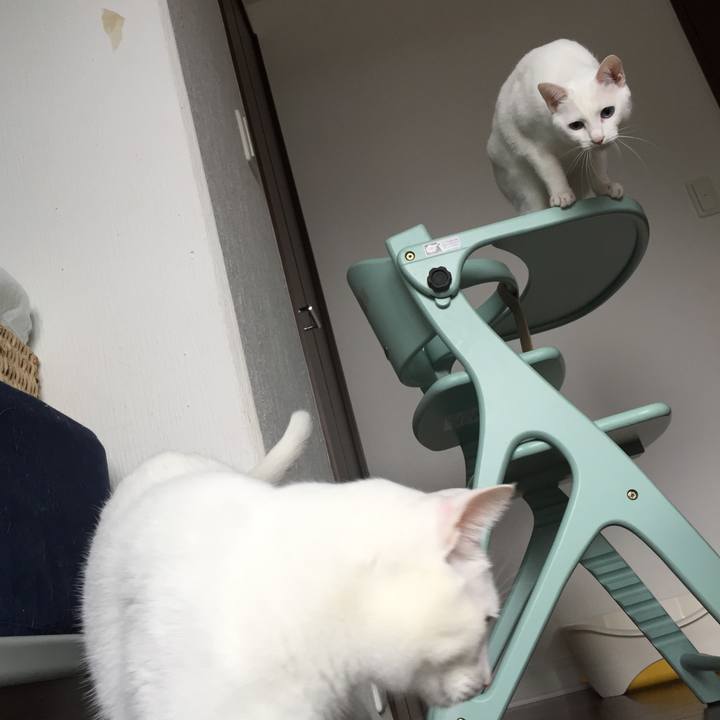 D8541954 e7bf 49c9 b4fc 084129217f61