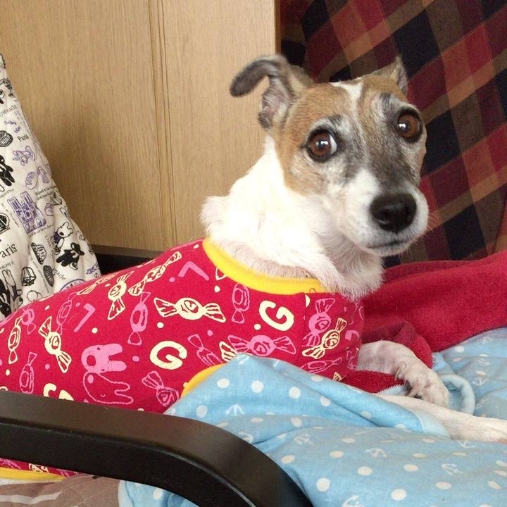 D8542319 9a93 431d be83 383c22c22794