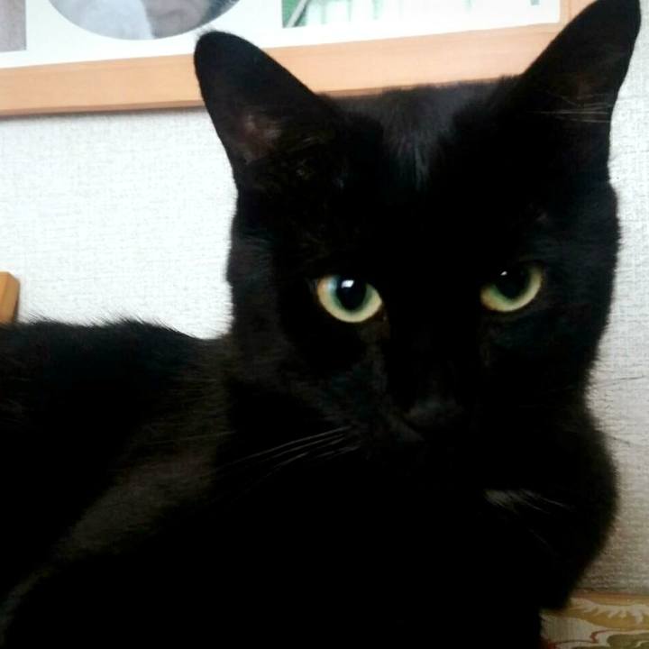 D85454c0 dba5 4d71 82b5 8ce82a19d989