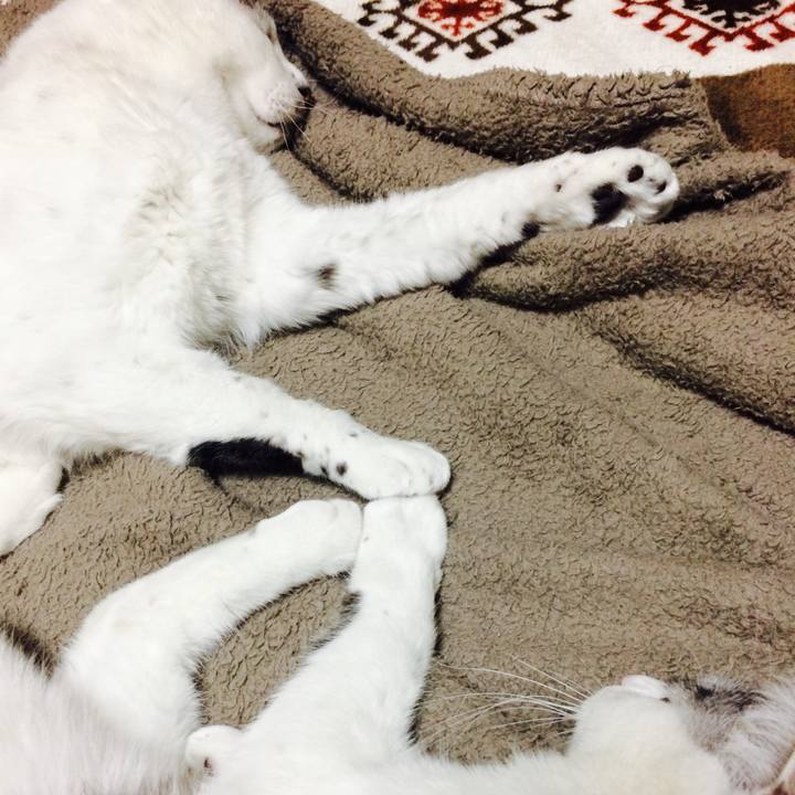 D85455e0 eab8 4e3b a5b5 9fde52426f3b