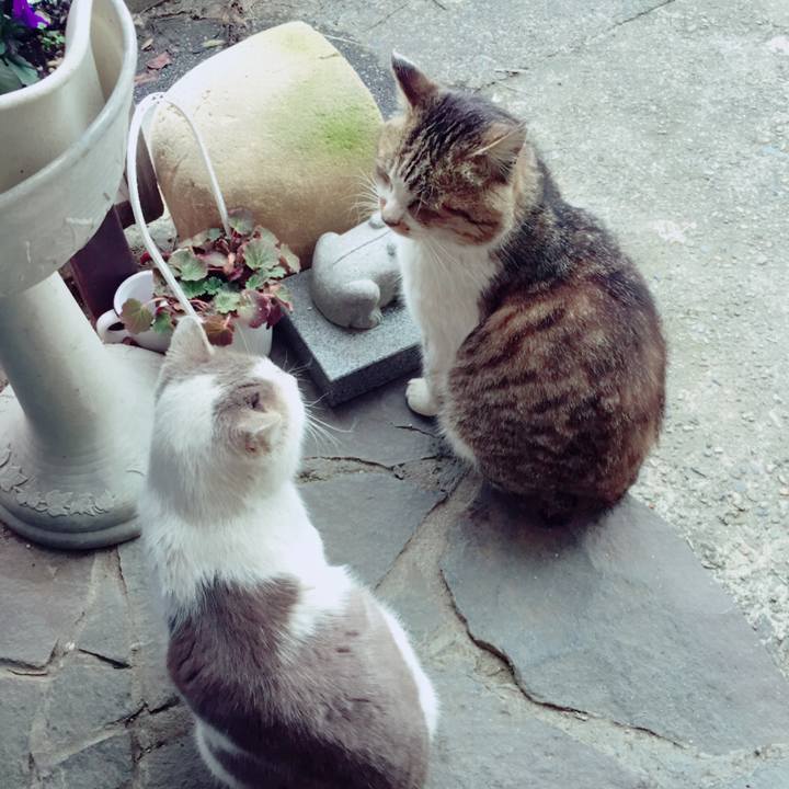 D854e249 5a57 42e9 a3f0 1e156af7c7c8