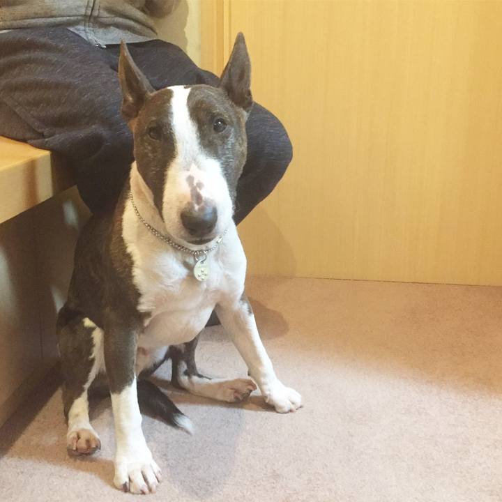 D855376e 6c7d 412f a2a3 5ce6f41badd0